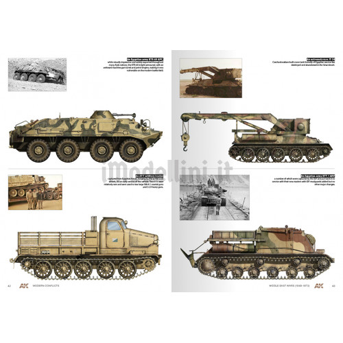 Guida Colors Profile Middle East Wars 1948-73 Vol.1 in Inglese