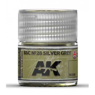 Vernice Acrilica AK Real Colors BSC n.28 Silver Grey 10ml