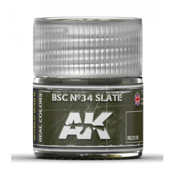 Vernice Acrilica AK Real Colors BSC n.34 Slate 10ml