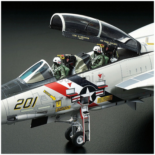 Aereo Grumman F-14A Tomcat 1:48