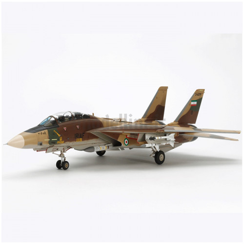 Aereo Grumman F-14A Tomcat 1:48