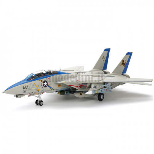 Aereo Grumman F-14D Tomcat 1:48