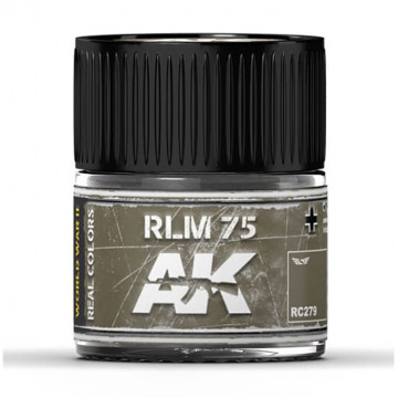 Vernice Acrilica AK Real Colors RLM 75 10ml