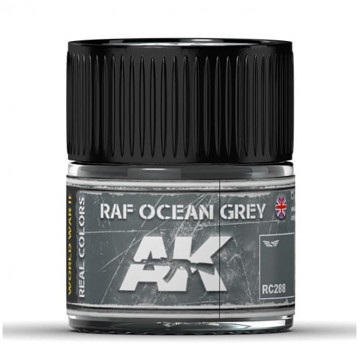 Vernice Acrilica AK Real Colors RAF Ocean Grey 10ml