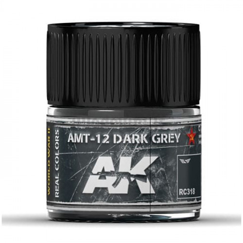 Vernice Acrilica AK Real Colors Dark Grey AMT-12 10ml