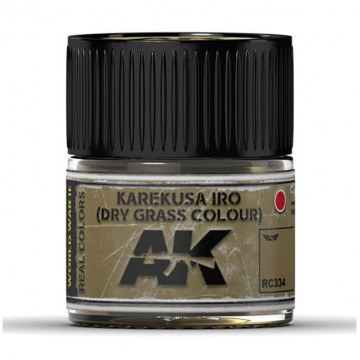 Vernice Acrilica AK Real Colors IJA 30 Dry Grass Colour 10ml