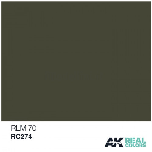 Vernice Acrilica AK Real Colors RLM 70 10ml