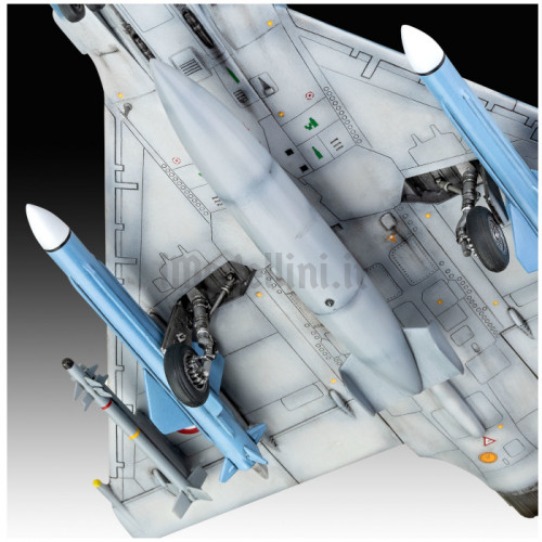 Dassault Mirage 2000C 1:48